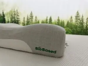BioBased Contour Pillow